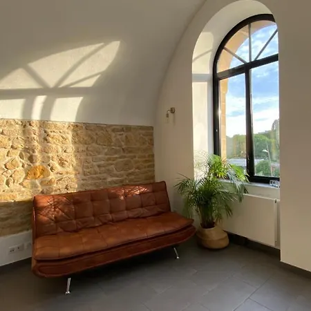 Luxury Loft Apartment Metz