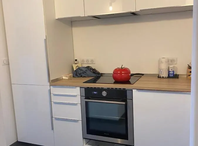 Apartment Luxury Loft